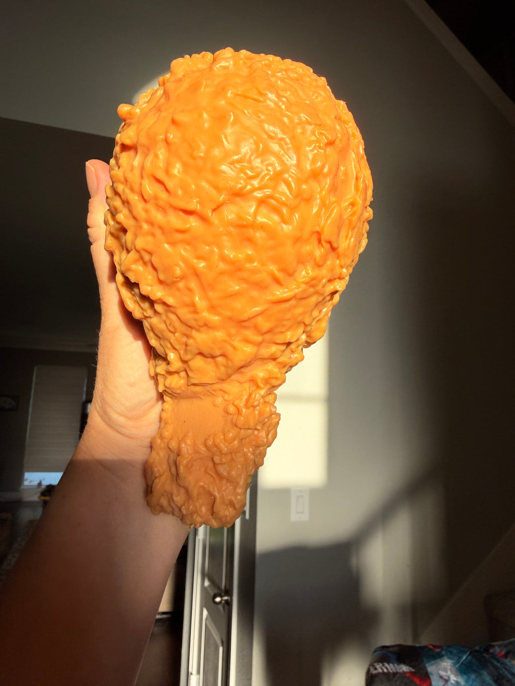 Fried Chicken Squishy